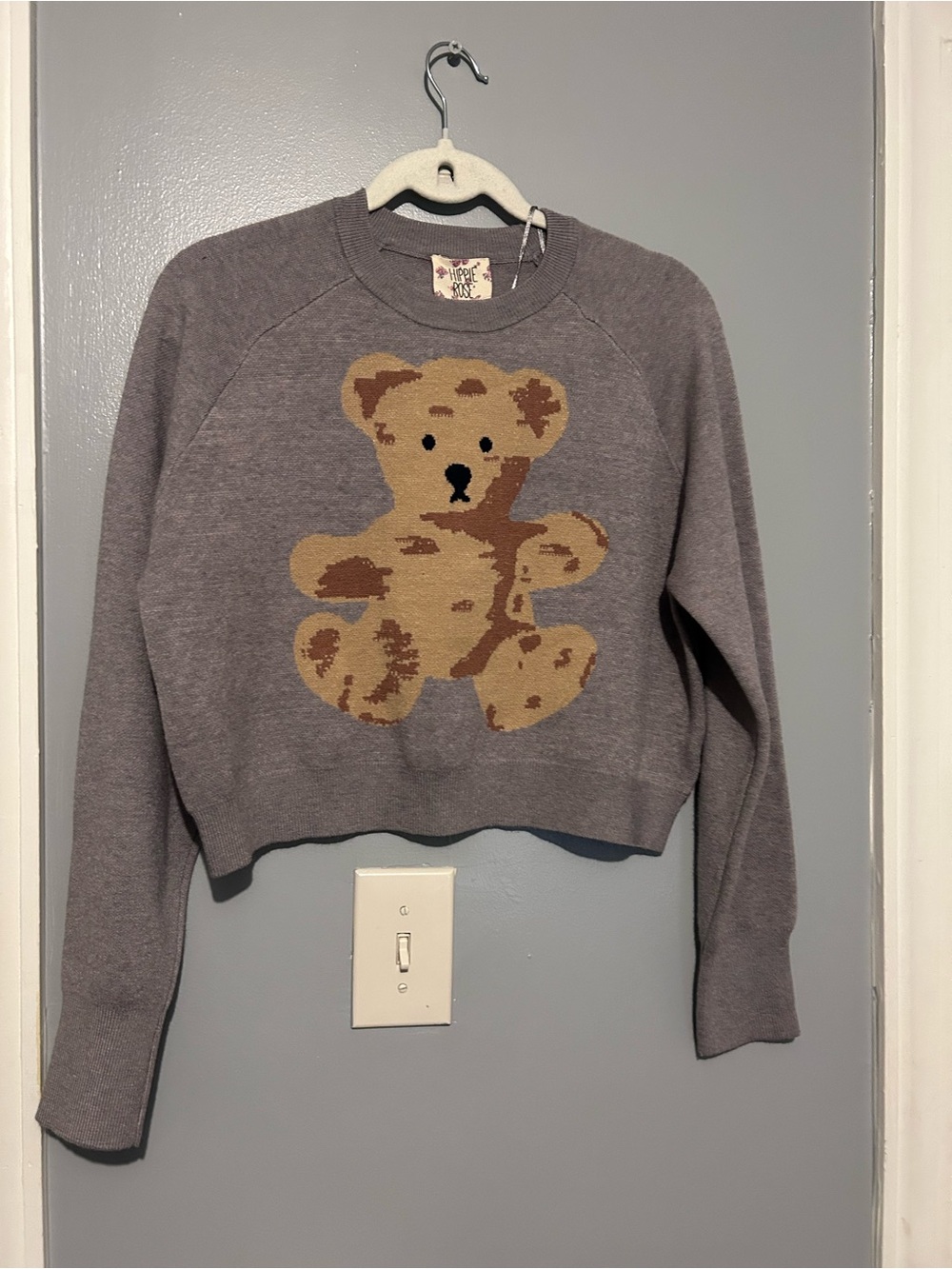 Hippie Rose Gray Cropped Teddy Sweater
